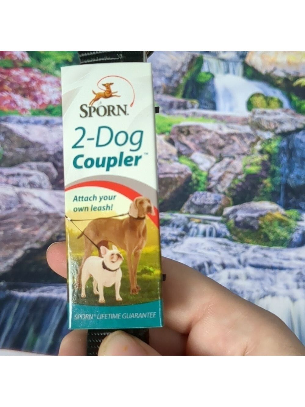 SPORN 2 dog coupler